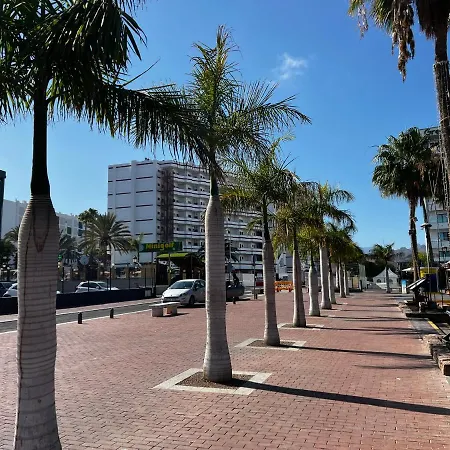 Agaete Parque Av De Tenerife *